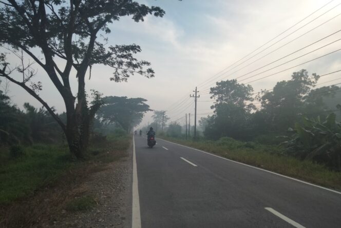 
 Kemarau 2 Pekan Karhutla Terjadi Lagi di Kubu Raya